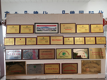 1611111648355192.jpg 1.jpg